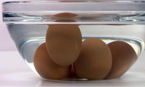 Определяем тухлое яйцо без разбивания скорлупы