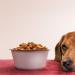 Что делать если собака плохо ест сухой корм